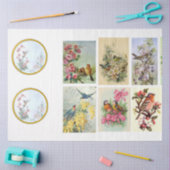 Papier Mousseline Série Wild Bird Design 2 (Artisanat)