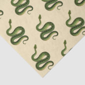 Papier Mousseline Serpent Vert (Détail)