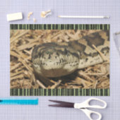 Papier Mousseline Serpents de papier de tissus (Artisanat)