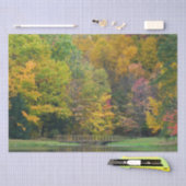 Papier Mousseline Seven Springs Fall Bridge II Autumn Paysage (Artisanat)