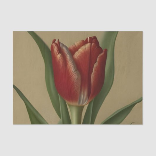 Papier Mousseline Shabby Chic Jolie Tulipe Rouge (Recto)