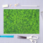 Papier Mousseline Shamrock Clover Feuille St. Patrick's Day Festive (Artisanat)