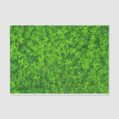 Papier Mousseline Shamrock Galore, (Recto)