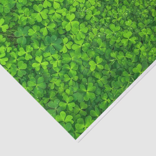Papier Mousseline Shamrock Galore, (Détail)
