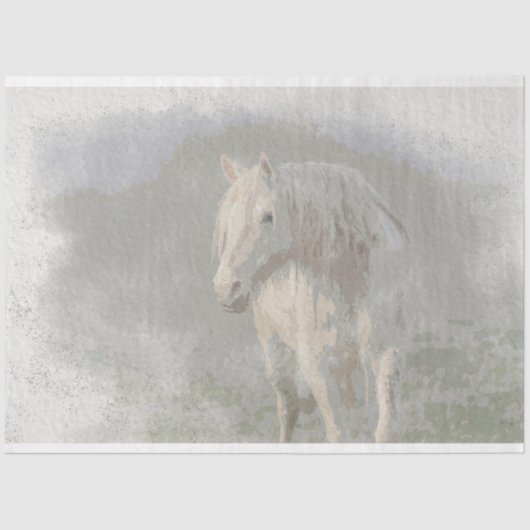 Papier Mousseline Shawnee Mare (Recto)