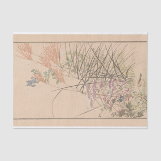 Papier Mousseline Shū bi Gakan Pl.03 par Nanbara Sakujirō (Recto)