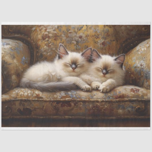 Papier Mousseline Siamese Kittens Napping Canapé Vintage Découpage (Recto)