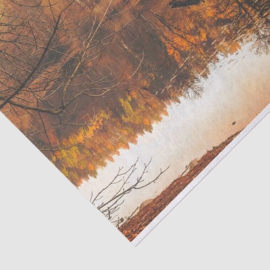 Papier Mousseline Sienna forêt saturée (Détail)