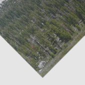 Papier Mousseline Sierra Nevada Mountains II de Yosemite (Détail)