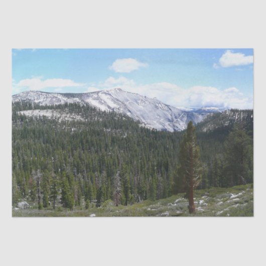 Papier Mousseline Sierra Nevada Mountains II de Yosemite (Recto)