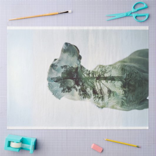 Papier Mousseline Silhouette Lab Film Exposé Découpage (Artisanat)