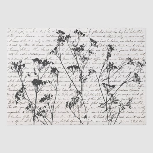 Papier Mousseline Silhouettes Fleur sauvage noir élégant Vieux Scrip (Recto)