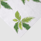 Papier Mousseline Simple Botanique (Détail)