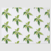 Papier Mousseline Simple Botanique (Recto)