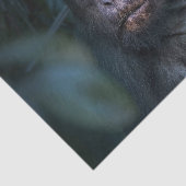 Papier Mousseline Singe dans la jungle (Détail)