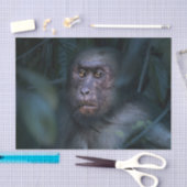 Papier Mousseline Singe dans la jungle (Artisanat)