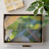 Papier Mousseline Singe écureuil à Manuel Antonio NP - Costa Rica (Cadeau)