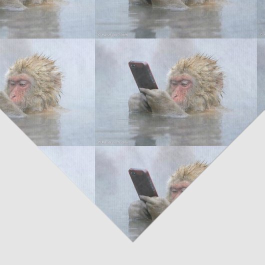 Papier Mousseline singe sur un écran (Détail)