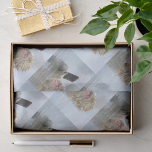 Papier Mousseline singe sur un écran (Cadeau)