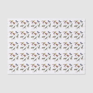 Papier Mousseline Six beaux colibris