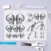 Papier Mousseline Skeleton Skuls Skull n Bones Decoupage Collage Ti (Artisanat)