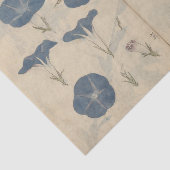 Papier Mousseline Sketchbook Pl. 112 par Ariyoshi Kondo (Détail)