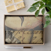 Papier Mousseline Skull d'Halloween (Cadeau)