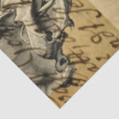 Papier Mousseline Skull d'Halloween (Détail)