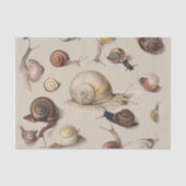 Papier Mousseline Snail Slug Garden Pet Gastropod (Recto)