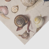 Papier Mousseline Snail Slug Garden Pet Gastropod (Détail)