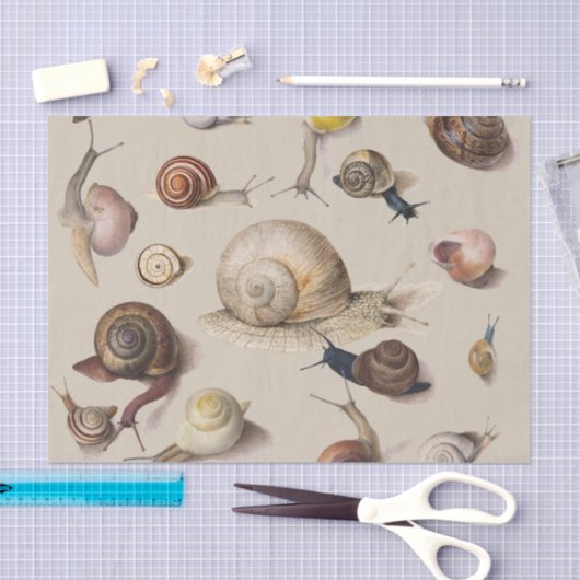 Papier Mousseline Snail Slug Garden Pet Gastropod (Artisanat)