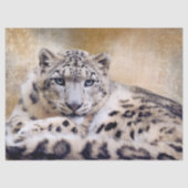 Papier Mousseline Snow Leopard Lying Down (Recto)