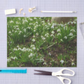Papier Mousseline Snowdrops (Artisanat)