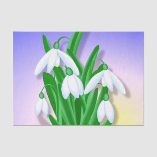 Papier Mousseline Snowdrops (Recto)