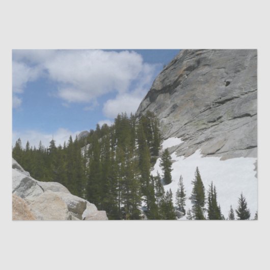 Papier Mousseline Snowy Granite Domes II Parc national de Yosemite (Recto)