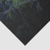 Papier Mousseline Snowy Owl (Détail)