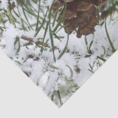 Papier Mousseline Snowy Pine Cone I (Détail)