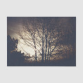 Papier Mousseline Soirée automne Foggy (Recto)