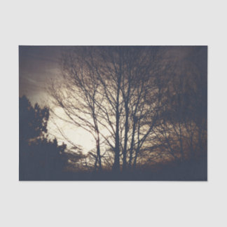 Papier Mousseline Soirée automne Foggy