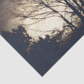 Papier Mousseline Soirée automne Foggy (Détail)