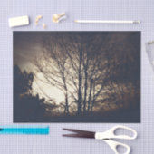 Papier Mousseline Soirée automne Foggy (Artisanat)