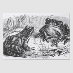 Papier Mousseline Soirée Cute vintage Frogs