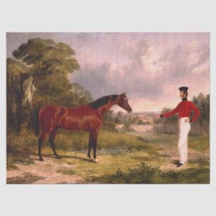 Papier Mousseline Soldat avec un cheval d'officier