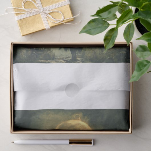 Papier Mousseline Sorcière Dans La Nuit1 (Cadeau)