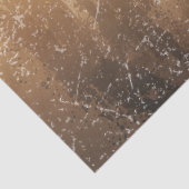 Papier Mousseline Sorcière Éffrayante d'Halloween traversant une Ple (Détail)