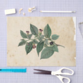 Papier Mousseline Sorcière Ephemera Design série #11 (Artisanat)