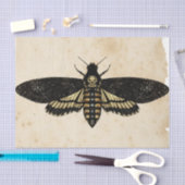 Papier Mousseline Sorcière Ephemera Design Series #8 (Artisanat)