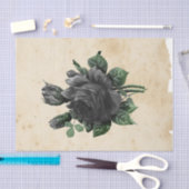 Papier Mousseline Sorcière Ephemera Design Series #9 (Artisanat)