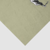 Papier Mousseline Sorcières de poulet drôle Halloween sorcière Vinta (Détail)