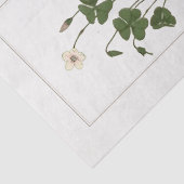 Papier Mousseline Sorrel de bois commun (Oxalis acetosella)  (Détail)